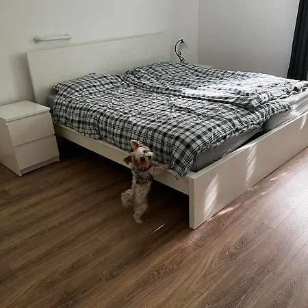 בית נופש Rada *